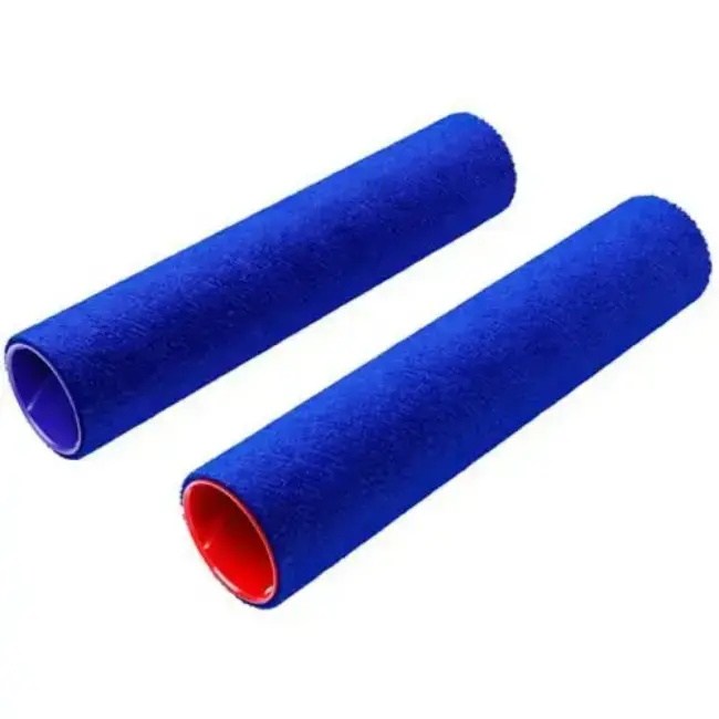 Dyson Dual Microfibre Rollers for WashG1 | 973787-02