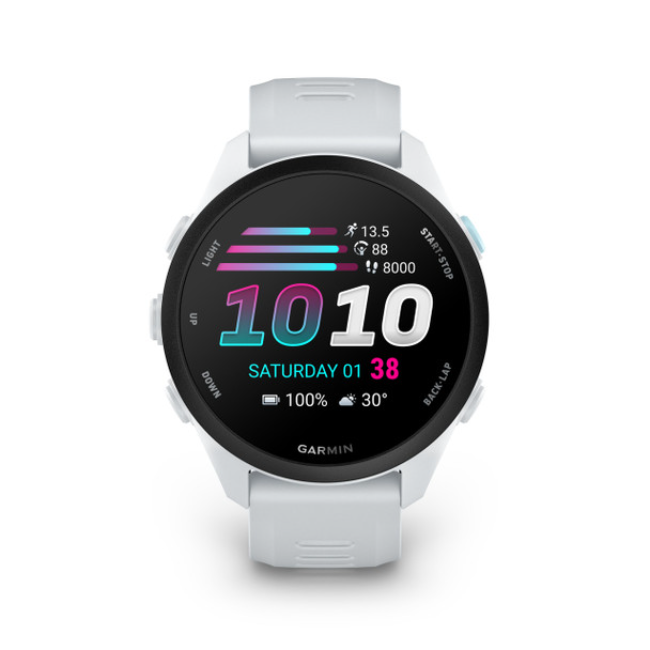 Garmin Forerunner 70 - Whitestone | 010-04307-01 - Image 2