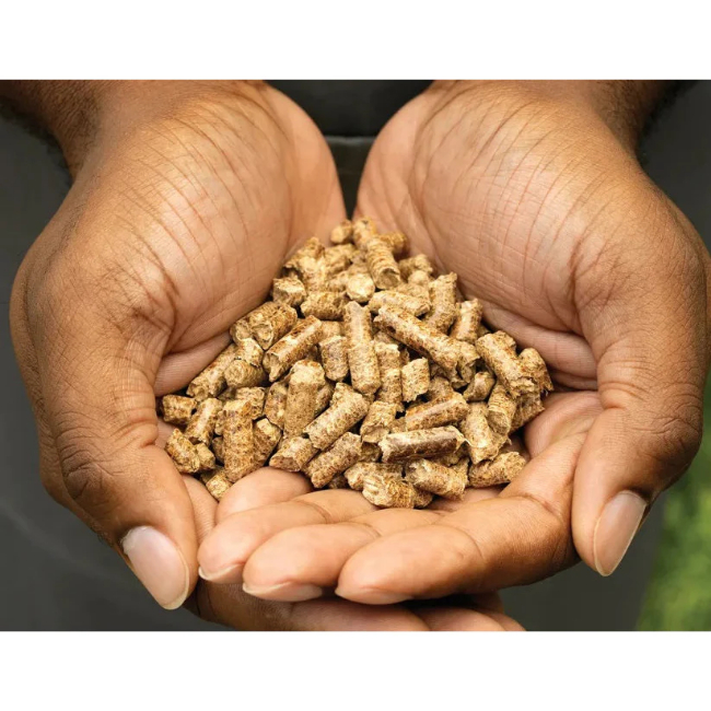 Ninja Woodfire Pellets Robust Blend 900g for OG701UK | XSKOGRBLPL2UK - Image 4