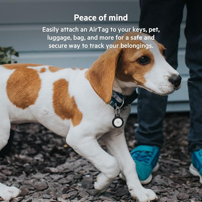 Belkin Secure Apple Air Tag Case with Key Ring - Black | F8W973BTBLK - Image 3