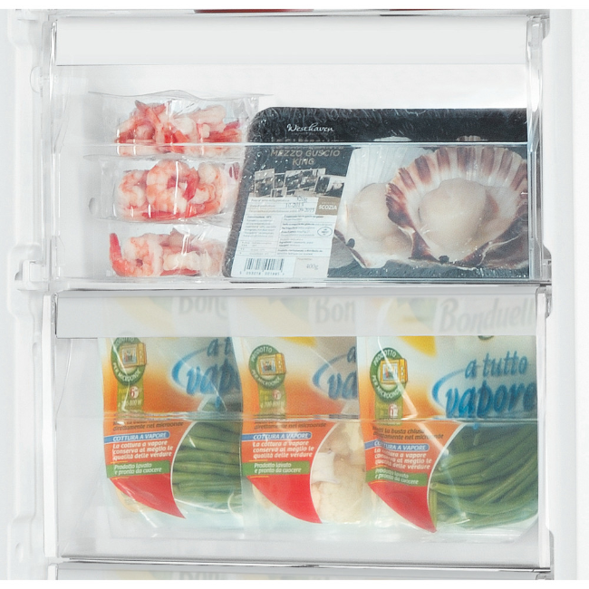 Which Freezer Is Best: Frost or No Frost?