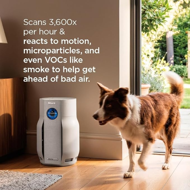 Shark BreatheClear with NeverChange6 Air Purifier | Dove | HP162UK - Image 4