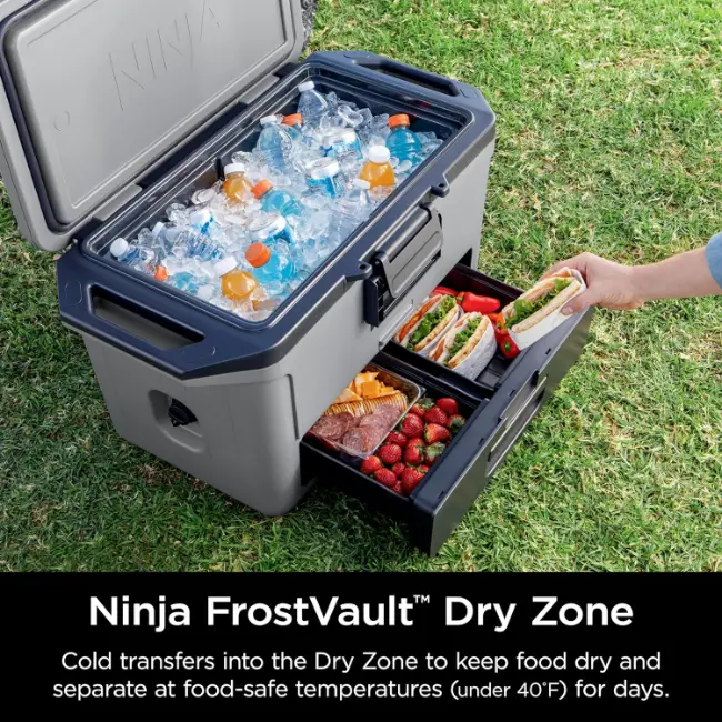 Ninja FrostVault 47l Cooler Box | Slate Grey | FB151UKGY - Image 5