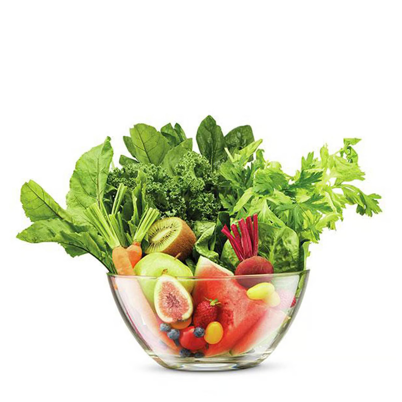 Sage The Nutri Juicer Cold Xl Steel | SJE830BSS2GUK1 - Image 3