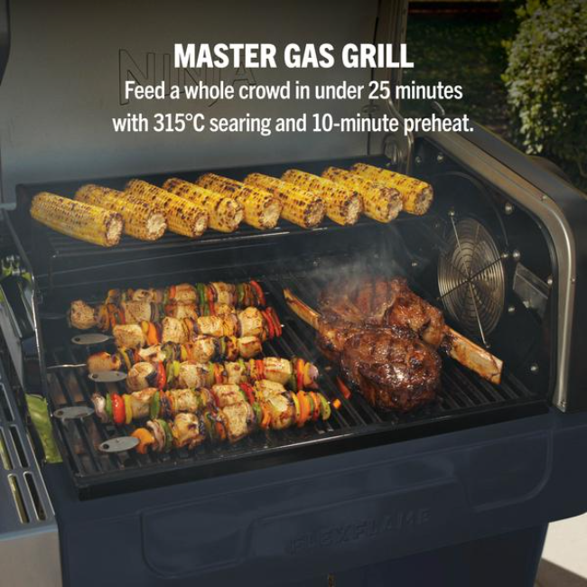 Ninja FlexFlame Gas BBQ & Outdoor Cooking System - Blue & Gold | PG301UKBL - Image 7