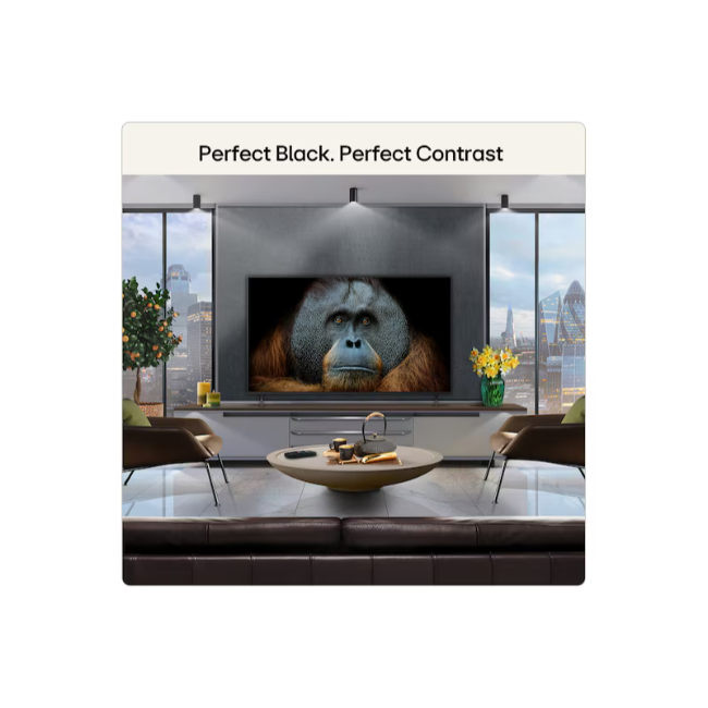 LG 55 inch LG OLED AI 4K Smart TV - Black | OLED55B65LA.AEI - Image 5